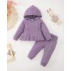 imageRenotemy Newborn Infant Baby Girl Clothes Outfits Fall Winter Long Sleeve Sweatshirts Pants Cute Baby Girl Outfits SetHoodie Purple