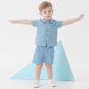 imageToddler Baby Boy Clothes Summer Outfits Cotton Short Sleeve TShirt Dinosaurs Shorts Set Boy Clothes Outfits SetCotton Linen Blue
